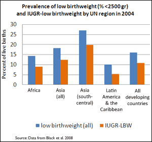 Source - adapted from UNICEF 2007. Description - Graph shows the percentage of infants weighing less than 2,500 grams at birth, thus having low birth weight.