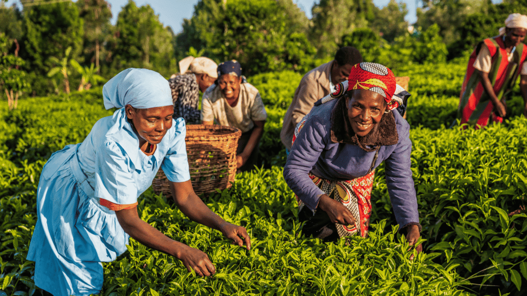 Episode 9: Gender Equality and Women’s Empowerment (Part II)