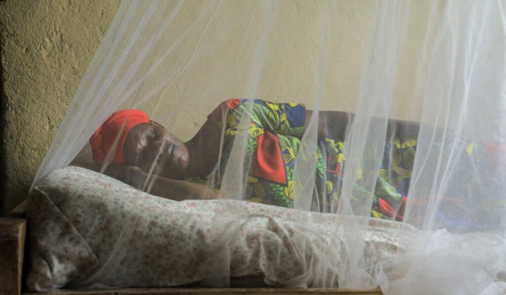 Are pregnant women prioritized for bed nets? An assessment using survey data from 10 African countries